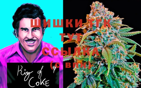 mix Белокуриха