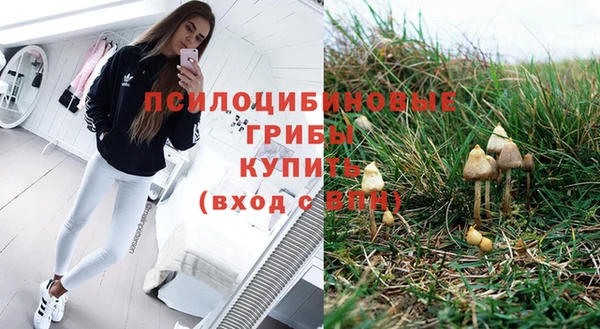 прущие крисы Балахна