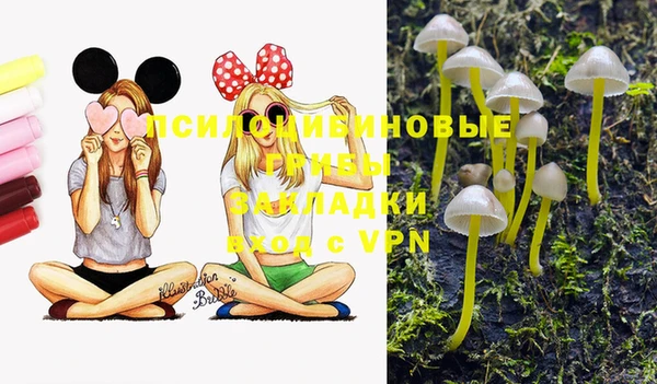 гидропоника Балабаново